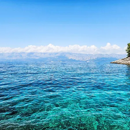 Octopus-4 By Interhome Bogomolje