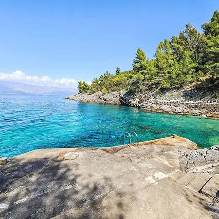 Octopus-4 By Interhome Daire