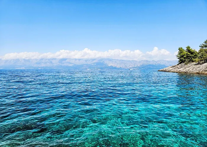 Octopus-4 By Interhome Bogomolje