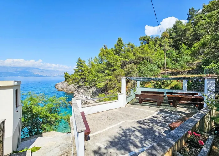 Octopus-4 By Interhome